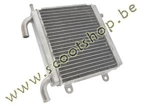 Motorforce Racing radiator - Aerox