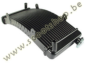 Righetti Ridolfi radiator - Small version